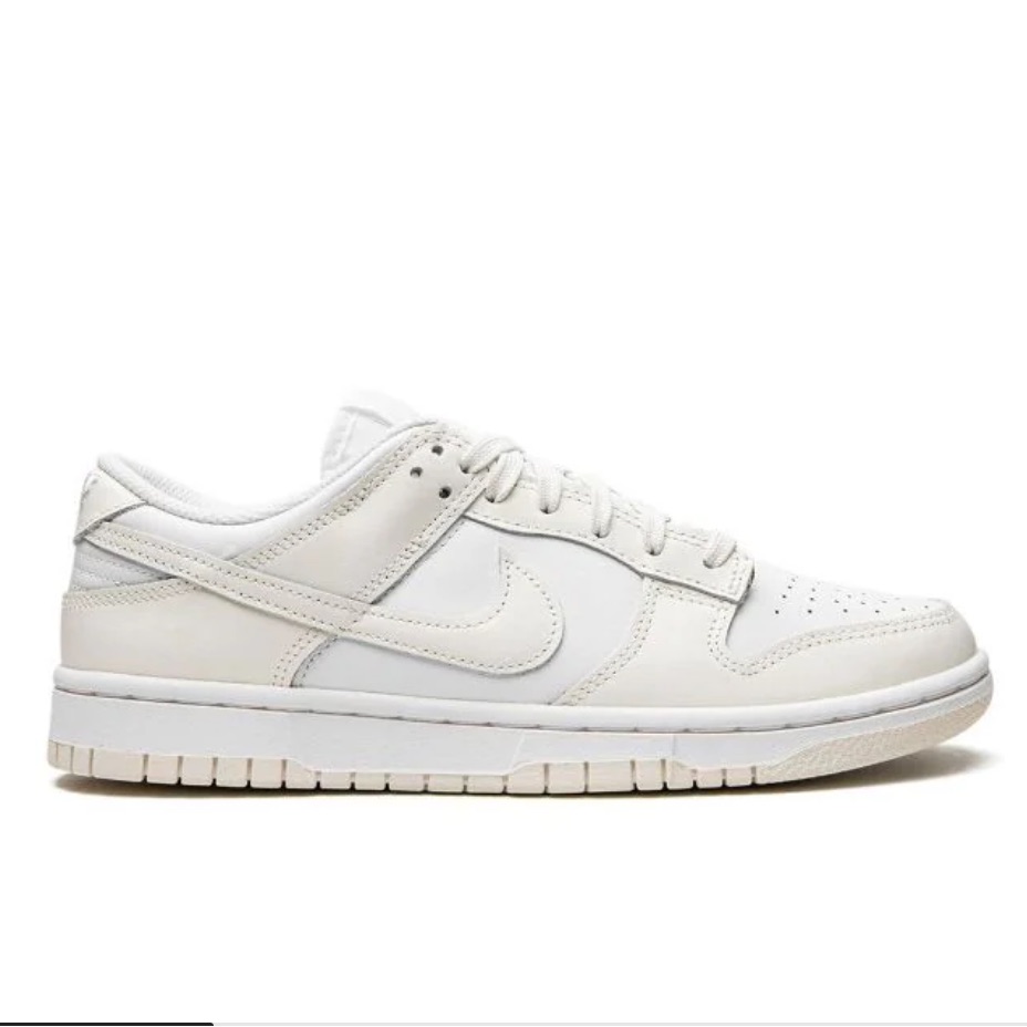 Nike Dunks Low Top Sneakers